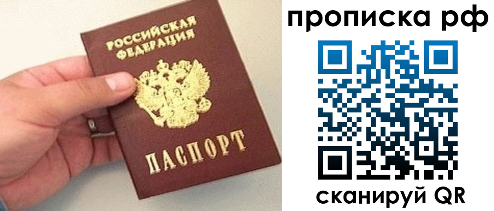временная регистрация для всех в Лосино-Петровском