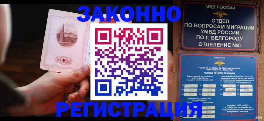 прописка 2025 в Лосино-Петровском